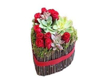 Heart Green Cactus Box